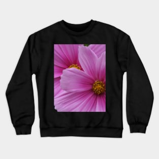 Two Pink Flowers Cosmo Daisies Macro Crewneck Sweatshirt